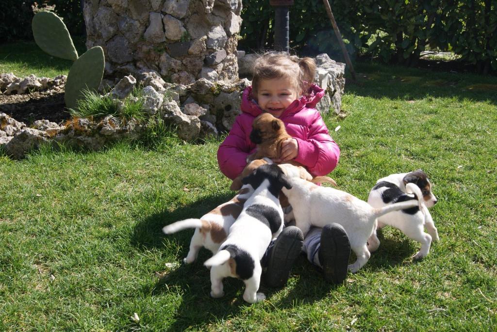 منزل الضيف أَجيرولا  في Agriturismo Sentiero Dei Sapori المظهر الخارجي الصورة